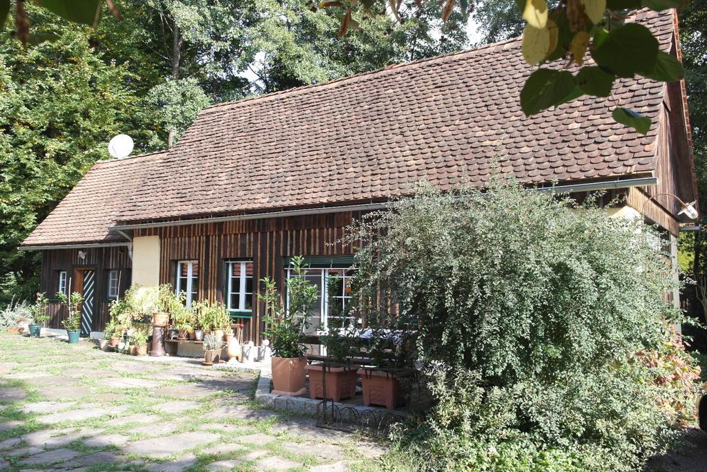 シュタインツ Presshaus Alte Muehleヴィラ エクステリア 写真
