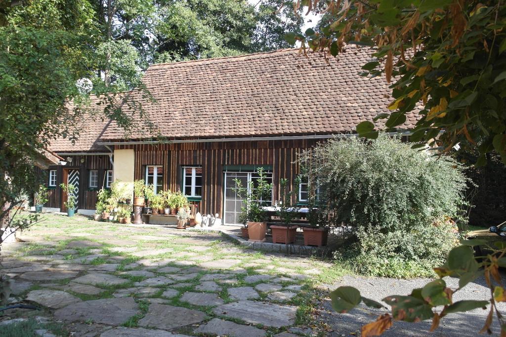 シュタインツ Presshaus Alte Muehleヴィラ エクステリア 写真